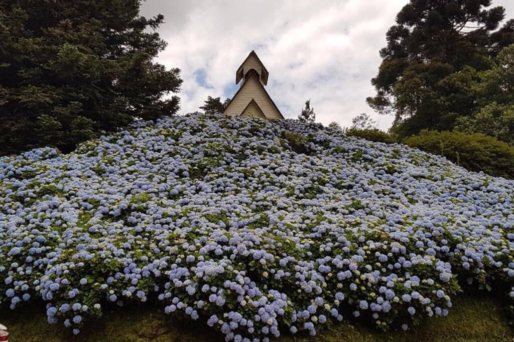 Hotel Vale das Hortênsias - Serra Dona Francisca - Joinville