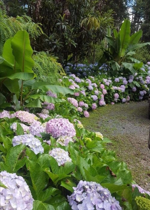 Hotel Vale das Hortênsias - Serra Dona Francisca - Joinville